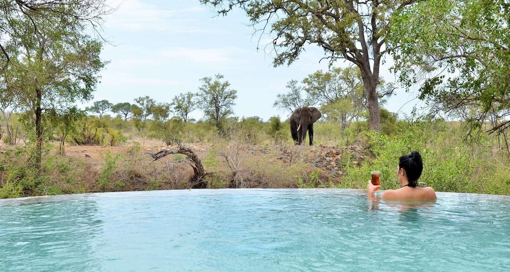 Hoyo Hoyo Safari Lodge Mluwati Concession 外观 照片