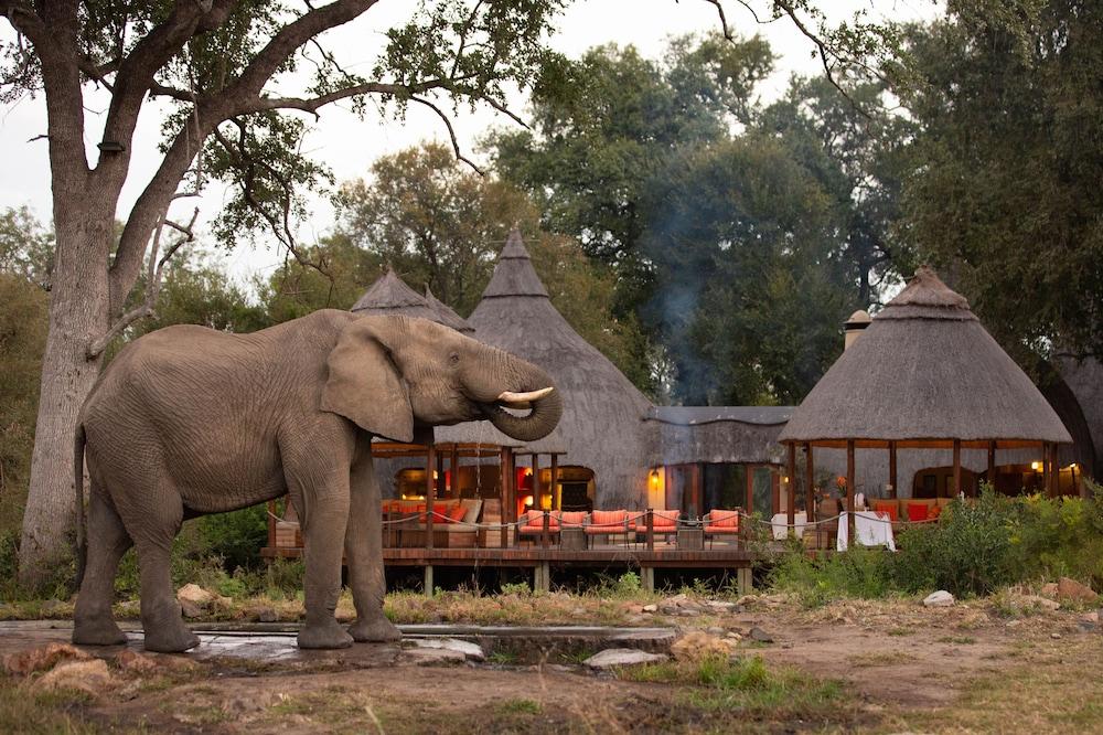 Hoyo Hoyo Safari Lodge Mluwati Concession 外观 照片