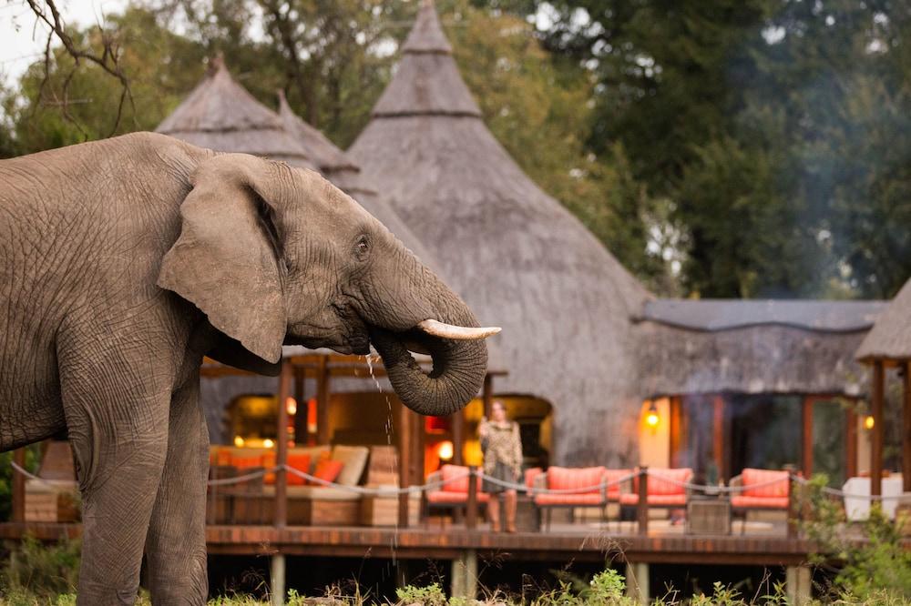 Hoyo Hoyo Safari Lodge Mluwati Concession 外观 照片