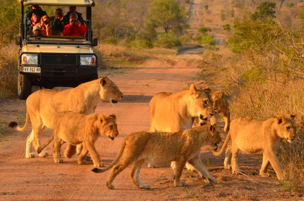 Hoyo Hoyo Safari Lodge Mluwati Concession 外观 照片