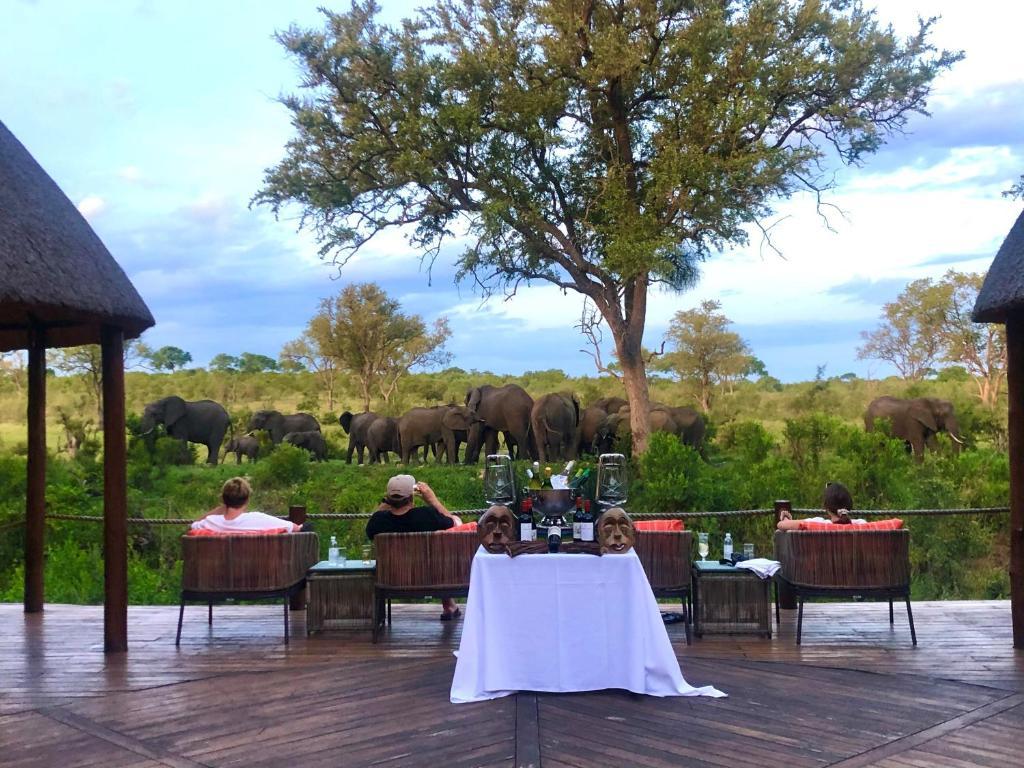 Hoyo Hoyo Safari Lodge Mluwati Concession 外观 照片