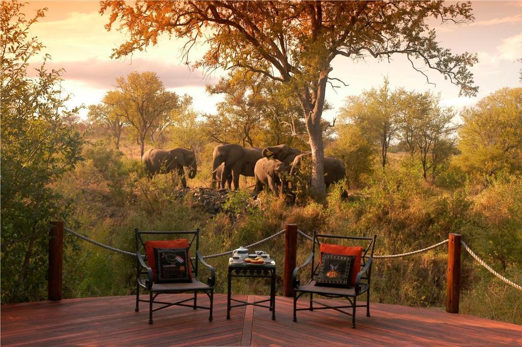 Hoyo Hoyo Safari Lodge Mluwati Concession 外观 照片