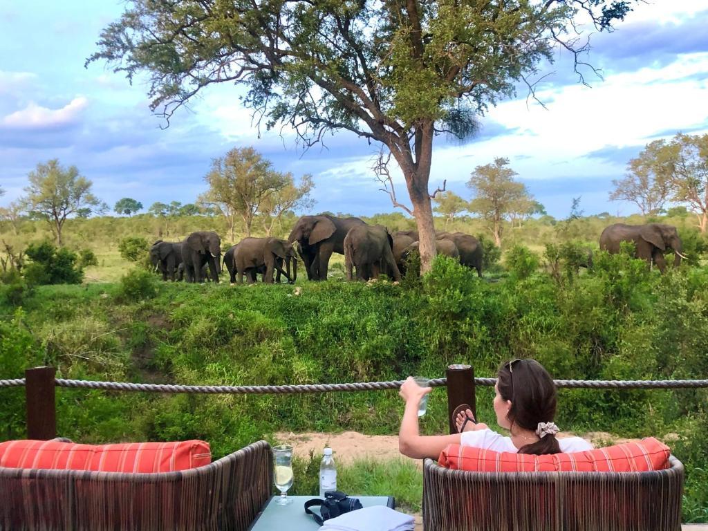 Hoyo Hoyo Safari Lodge Mluwati Concession 外观 照片